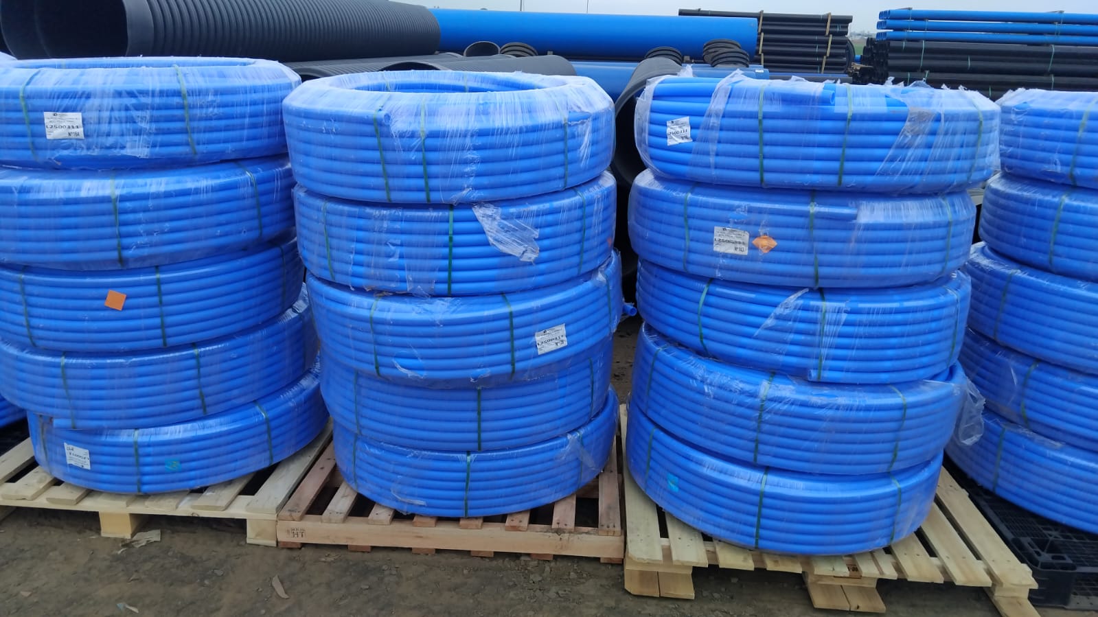 WhatsApp Image 2026-01-20 at 08.13.47.jpeg