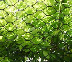 Captura de tela 2026-02-18 082632.png